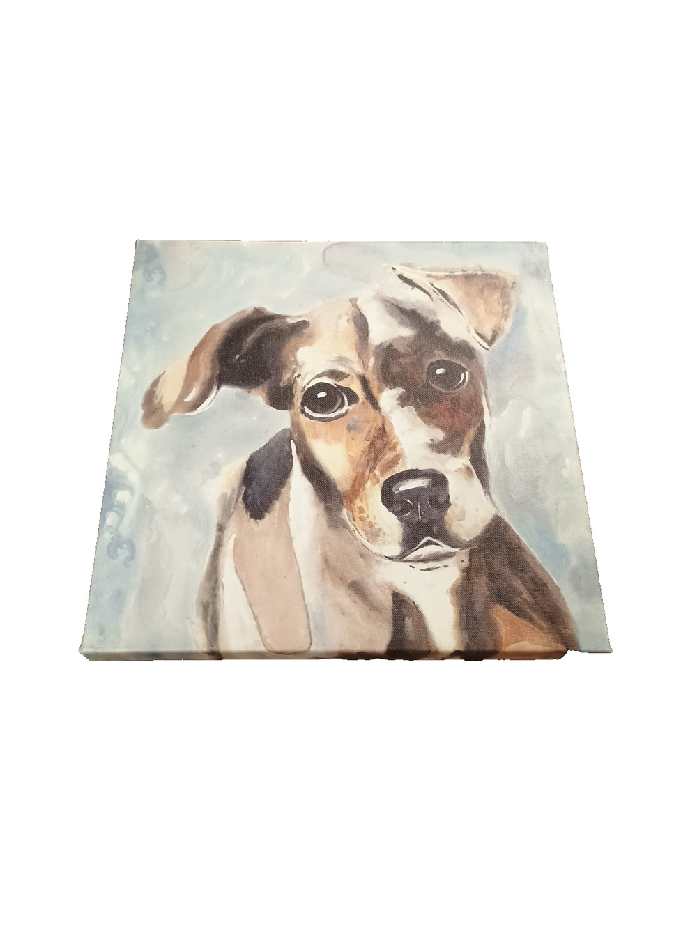 Tri color Beagle Puppy Dog Wall Art Watercolor Print on Stretched Canvas 12"x12"